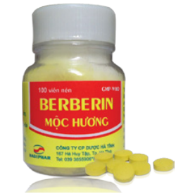 BERBERIN MỘC HƯƠNG chữa lỵ trực khuẩn, hội chứng lỵ, ỉa chảy